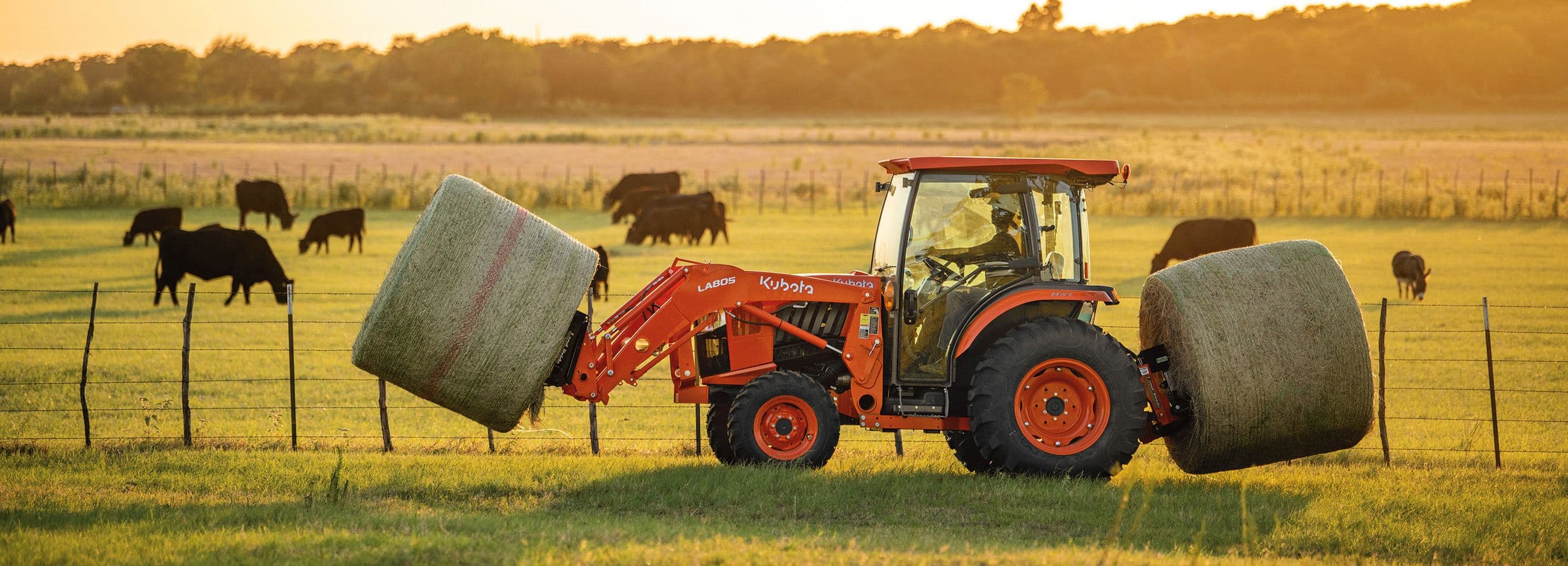 BS10, BS20 & BSE20 Series Bale Spears